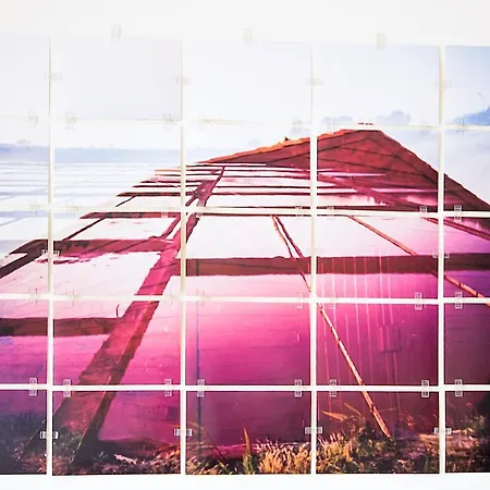 Photo House - Bairro Calmo No Centro De * Aveiro